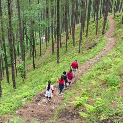 Nainital Nature Trekking Experience – Guided Himalayan Nature Walk & Scenic Trail Tour