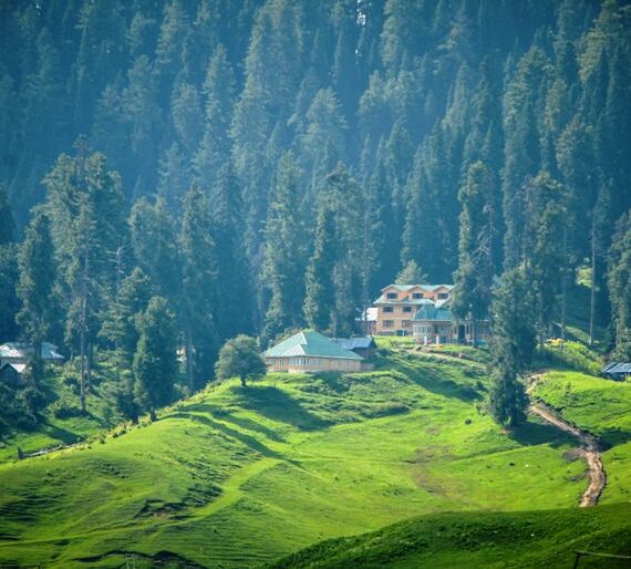 Gulmarg-57
