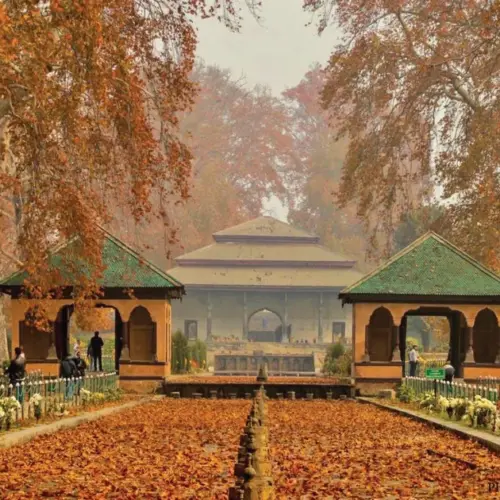 Best Kashmir Tour Package from Delhi by Flight 5 Days 4 Nights | Srinagar Gulmarg Pahalgam