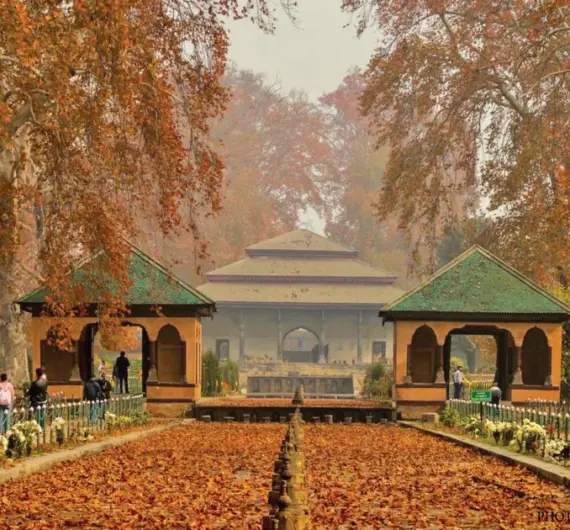 Shalimar_Blog_1200x630