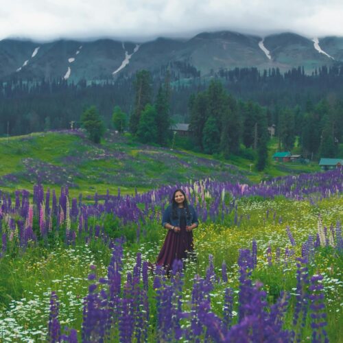 Affordable Kashmir Tour Package from Delhi by Train 7 Days 6 Nights | Best Kashmir Holiday
